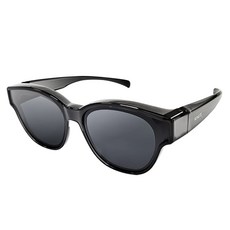 newste 偏光夾式太陽眼鏡 NWSTR7502