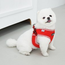 RealPet 강아지 파스텔 하네스, 레드, 1개