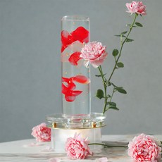 수나컬러풀모먼트 수나샹들리에 오리지널 조명, 레드(카민)
