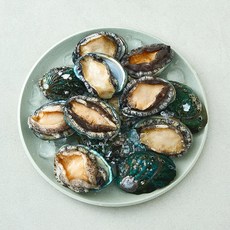 어부심 국내산 활전복 특 (냉장), 1개, 1kg 내외(12~13미) 1개, 1kg 내외(12~13미)