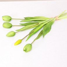 Lydius 人造鬱金香 5入, 綠色