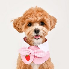 올치 반려동물 소형견용 귀여운 과일 자수 리본 턱받이 케이프, 핑크, 1개