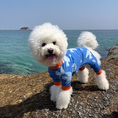 바크독 강아지 올인원, 피죤, 1개