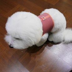 디자인사노 반려동물 바디핏 이지핏 레트로 도트 하네스, 핑크, 1개