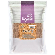 토종마을 호라산밀, 1kg, 1개