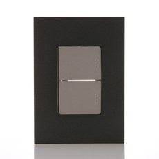 第一電氣工業 Adonis 開關 黑珍珠 單控二開, 1個