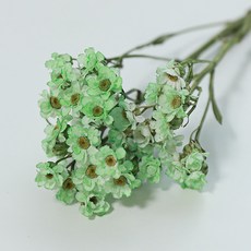 永生花 迷你雛菊 2入, 綠色