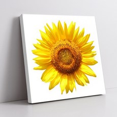 OwoluiUri 室內裝飾向日葵畫框, 白色