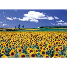 向日葵田野 4 拼圖 PL2114, 混色, 2000件, 1個