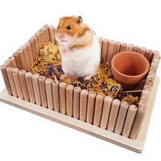 倉鼠迷你花圃裝飾DIY套組 L, 1套, 混合顏色