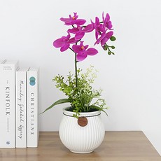 Garden in the City 蝴蝶蘭人造花飾品, 1個, 粉紅色
