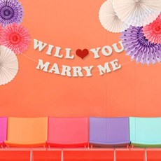 Will You Marry Me 派對毛氈掛旗, 2個, 混色
