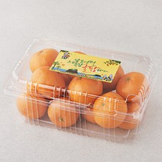 귤탐 당도선별 11brix 감귤, 1.5kg(로열과), 1개