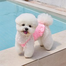 Puppy Dream小狗Rena褶皺蕾絲吊帶背心露臍泳衣 10036, 1個, 粉色