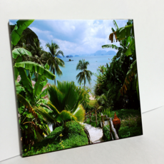 HTP磁磚 普吉島回歸線 照片 C466