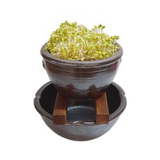 Nara Art 陶器豆芽栽培器套組 2號 隨機出貨, 1套