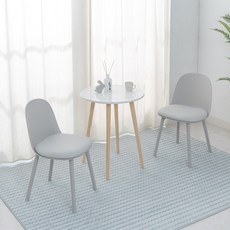 노아가구 에그 카페 식탁의자 세트, 그레이, 2개