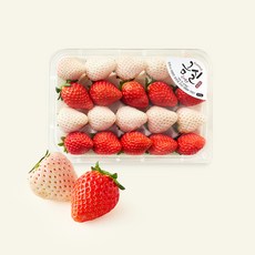 설희 김진상 마이스터의 금실 + 설희 딸기, 1개, 500g