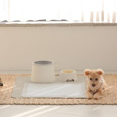 dfang 基本款狗狗用防滑尿布墊, 2入, 米色