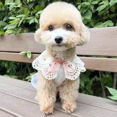 Grooming Dog 寵物網紗蕾絲主題披肩, 粉紅色, 1個