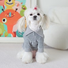 에이미러브즈펫 반려동물 DE 벨포아반집업, 그레이, 1개