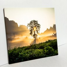 UDP 磁磚相框 單品 2264494