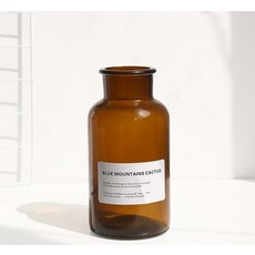 GAPANG 玻璃花瓶 Dryj012, 棕色 11 號