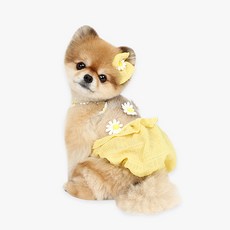 이츠독 반려동물 데이지 벌룬 티셔츠, 옐로우