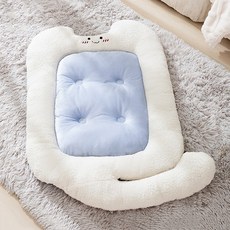 랜보어 반려동물 보송 냥이 쿠션, 블루, 1개