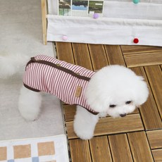 코코스튜디오 반려동물 코코 범블비 기모 중성화복, 1개, 핑크