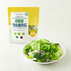 팜에이트 친환경 인증 채소 샐러드, 500g, 1개