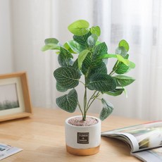 플라워트리 피토니아 조화 인테리어 화분 세트 P FMFUFT, 선택완료, 1세트