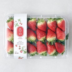 맛뜨레 홍희 딸기, 500g(15~18과), 1팩