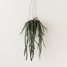 Flouse302 人造花 絲葦紅寶石 吊盆 65公分, 1個, 混合顏色