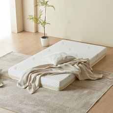 웰퍼니쳐 허리엔 윌로우 허리특화 스마트폼 매트리스, 베이지, 14cm