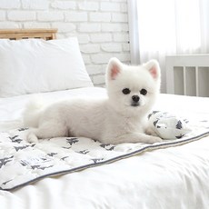 이츠독 반려동물 인견 쿨링 매트, 여름숲, 1개