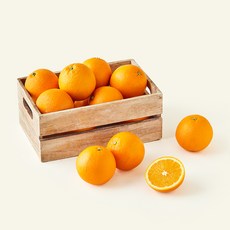 다조은 고당도 캘리포니아 오렌지 중대과, 4kg, 1개