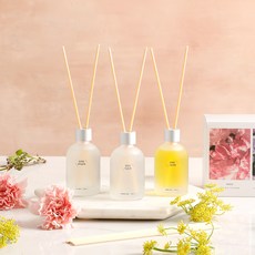 모던하우스 감성 미니어쳐 리미티드 플라워 에디션 디퓨저 3종 세트, 카네이션, 그리너리 라일락, 텐저린, 1개
