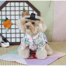 AMYLOVESPET 狗狗清潭韓服 男款, 花朵粉