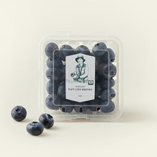 문선진 농부의 무농약 신칠라 왕블루베리, 100g, 1개