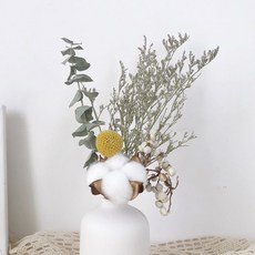 GAPANG 乾花 DRYD001 11 號, 混色