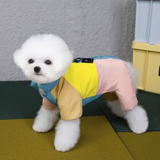 DING DONG PET 寵物彩虹鋪棉胸背帶連身衣, 藍色, 1個