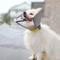 doximon 寵物扣環頸圈, 1個, 灰色