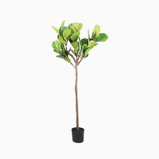 프리미엄 떡갈고무나무 조화나무 L 175cm, 1개, 그린