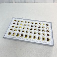 EPLYN DIY雛菊香皂花組 50入, 白色的