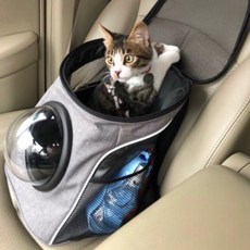 看點寵物背包, 灰色的