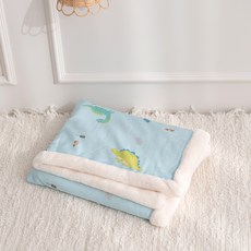 아리베베 유아용 퍼니 모달 극세사 이불, 씽씽디노