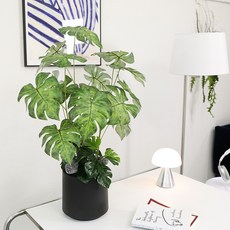 JOART 室內設計人造樹 龜背芋真綠色 + 模型石 2p + 花盆套組, 1套, 混合顏色(人造花), 隨機出貨(花盆, 模型石)