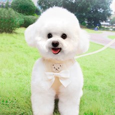 PASTEL PET 寵物蝴蝶結小熊胸背帶牽繩組, 1套, 米色