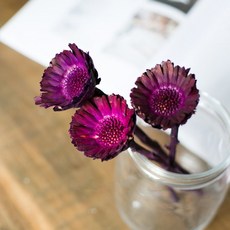 GAPANG 人造乾燥花 08號, 紅色, 1個